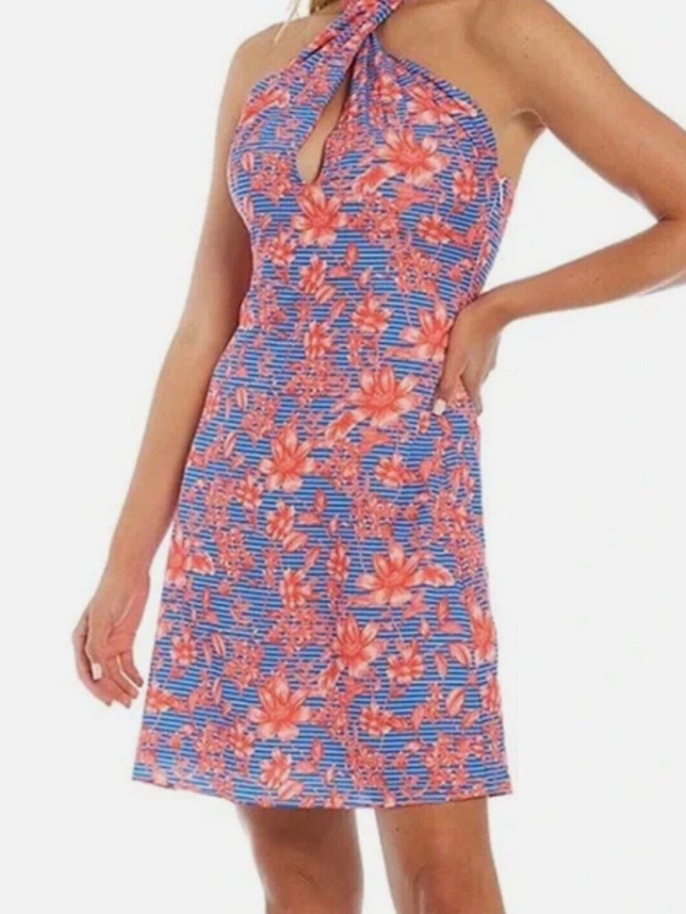 Belle Badgley Mischka Delilah Tropical Striped Floral Halter Cocktail Dress